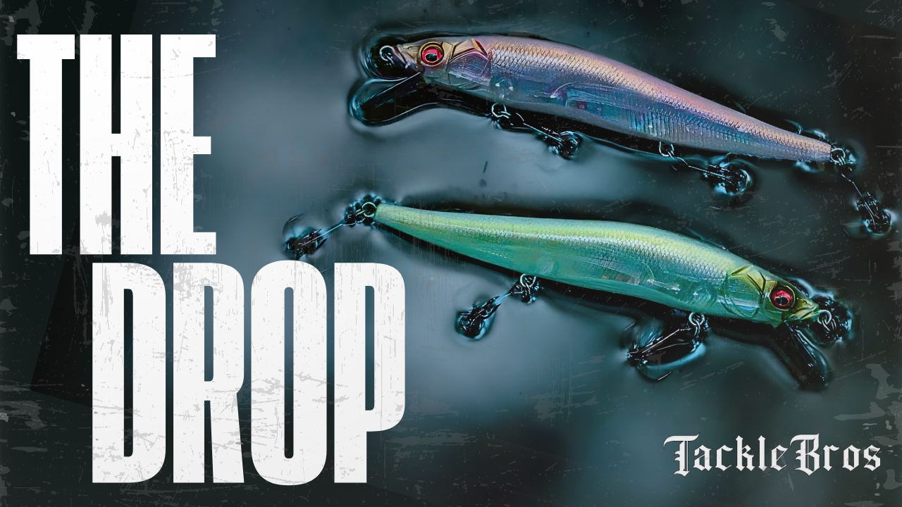 THE DROP| 11.07.2024