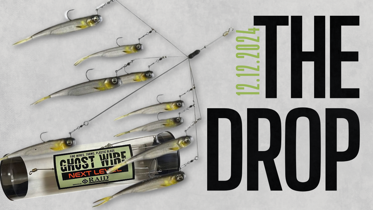 The Drop: 12.12.2024