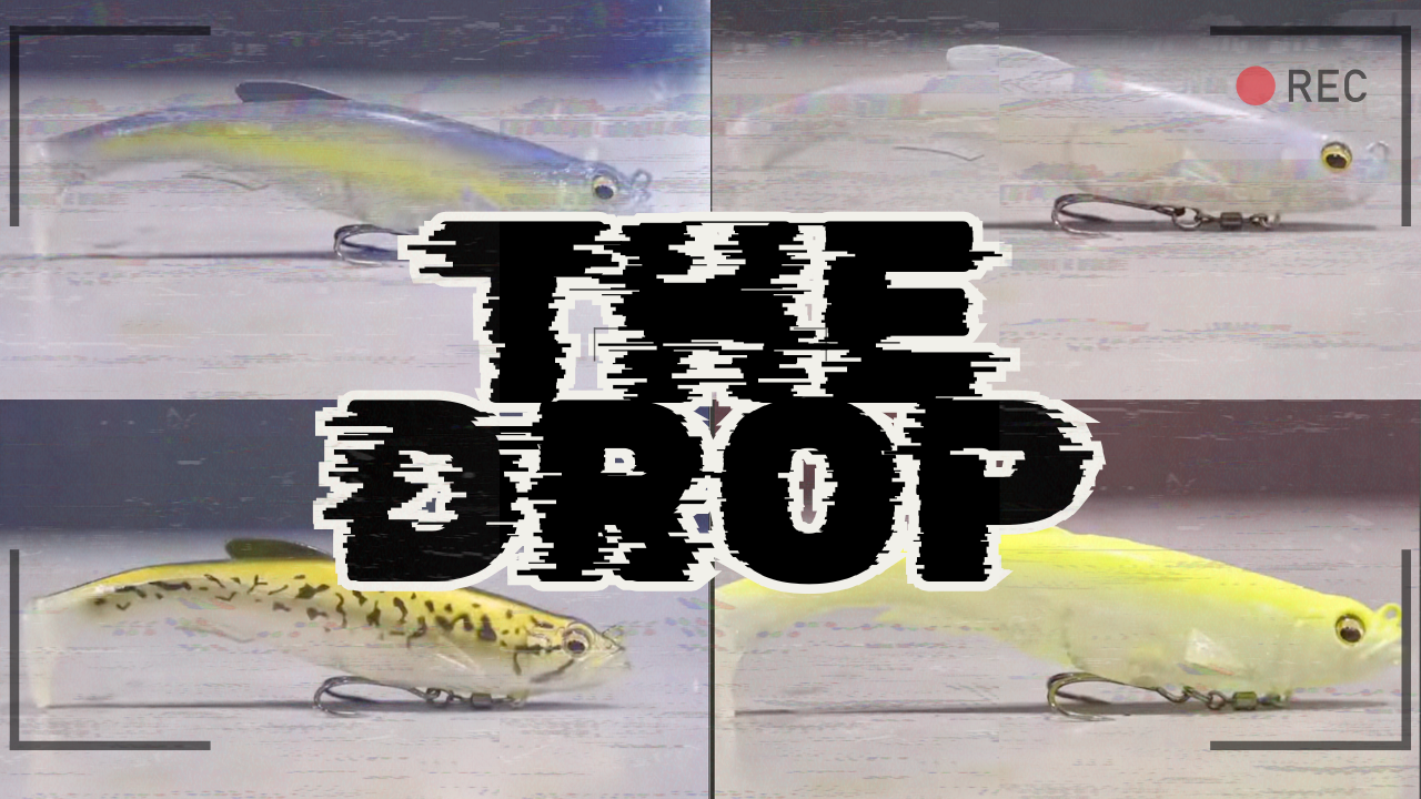 THE DROP| 02.20.2025