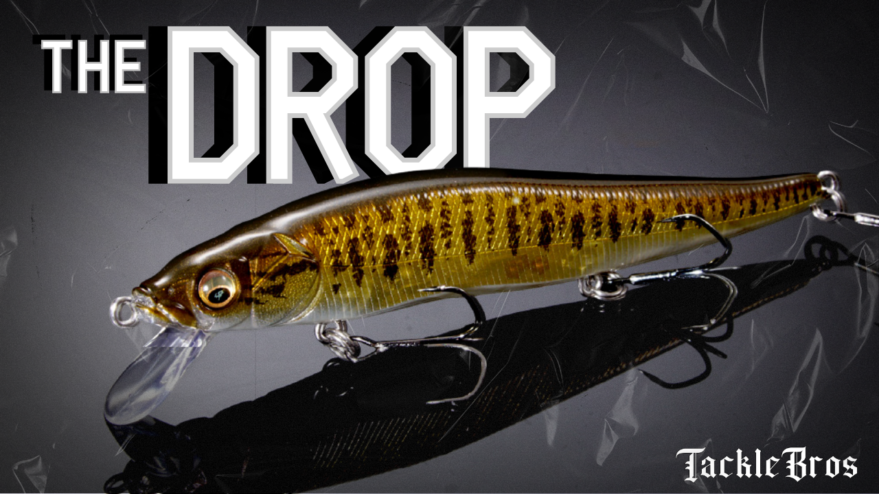 THE DROP | 08.28.2025