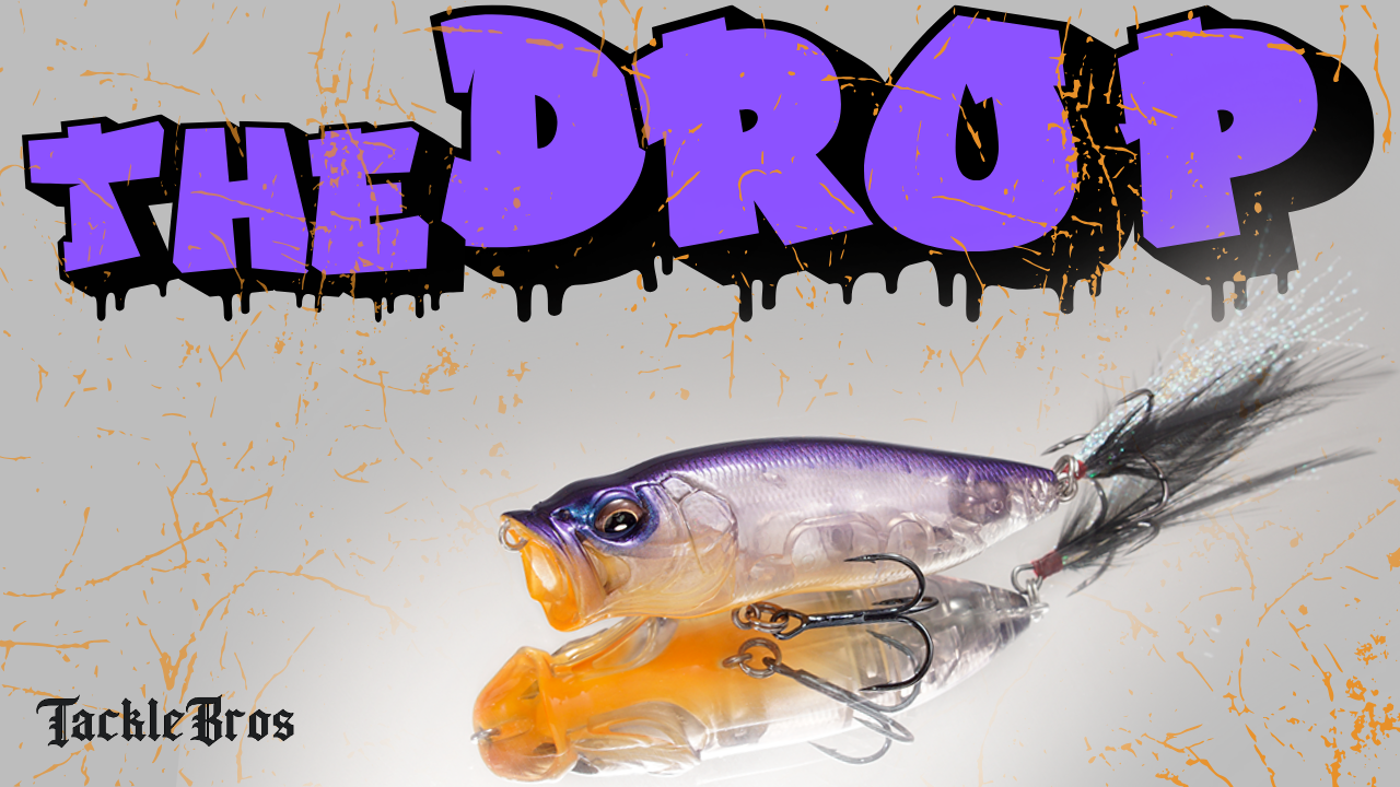 THE DROP | 10.09.2025