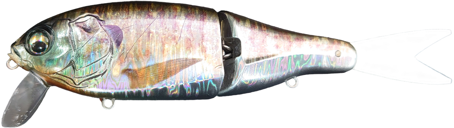 Eisvogel Slowth 150