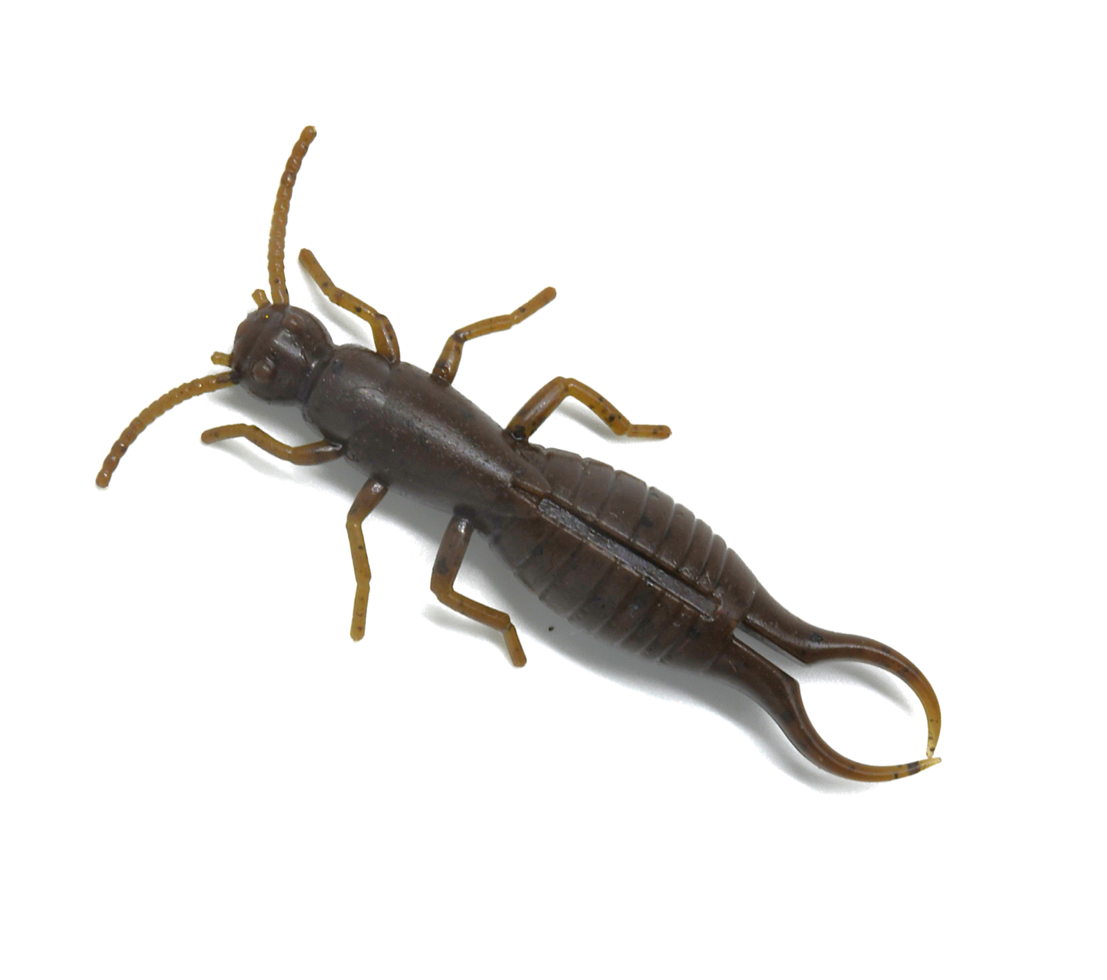 Max4 Earwig 2.8"
