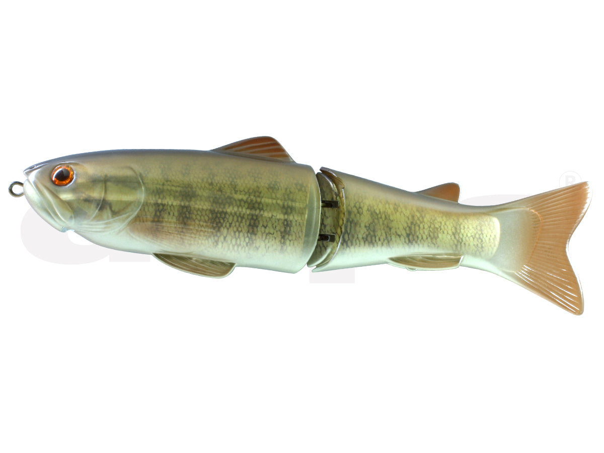 Deps Slide 游泳者 250