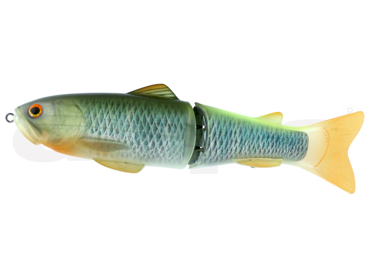 Deps Slide 游泳者 250