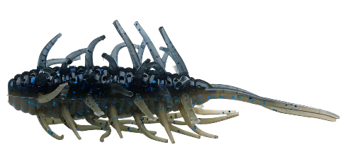 Crevettes Hideup Coike