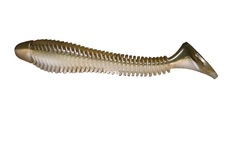 Tennessee Shad