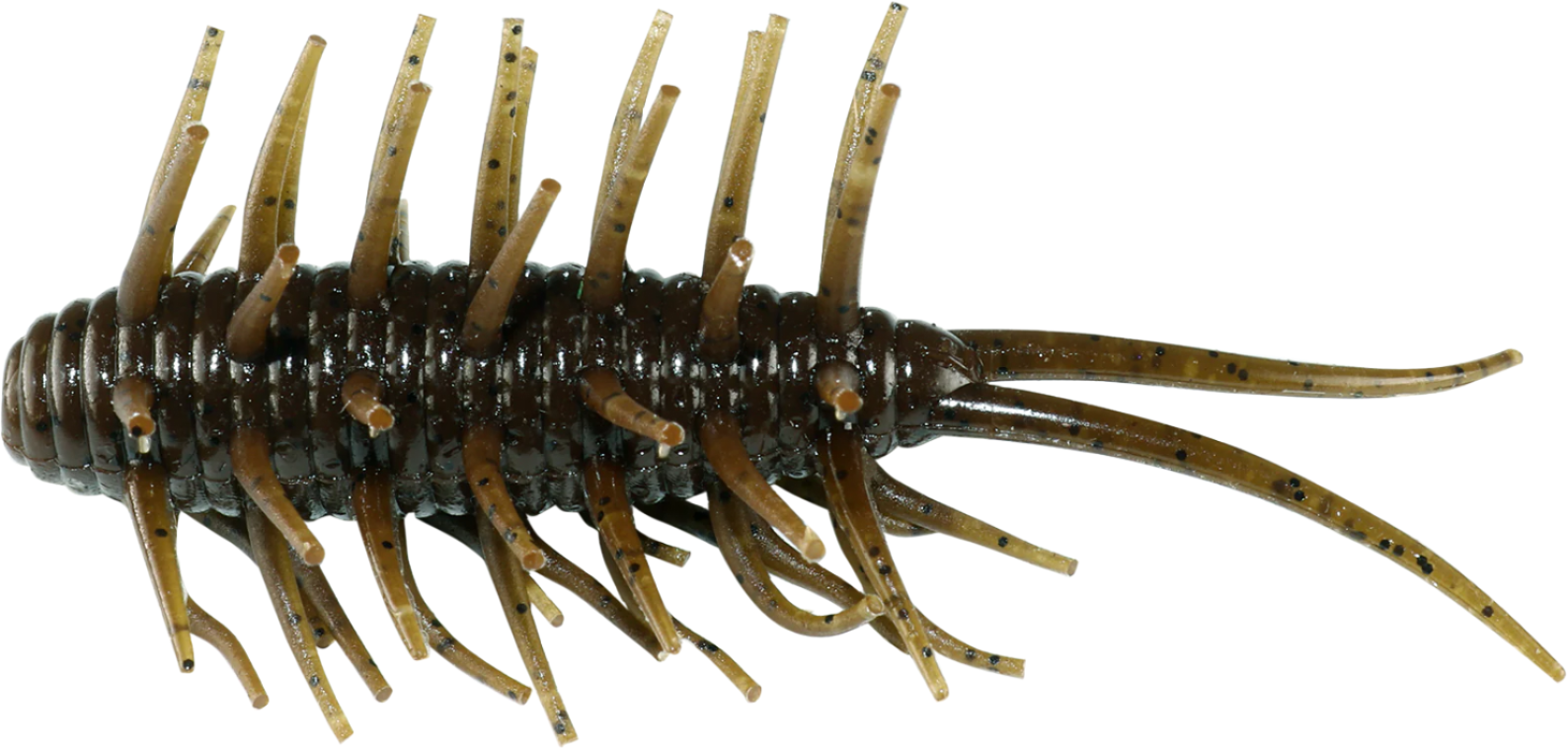 Crevettes Hideup Coike