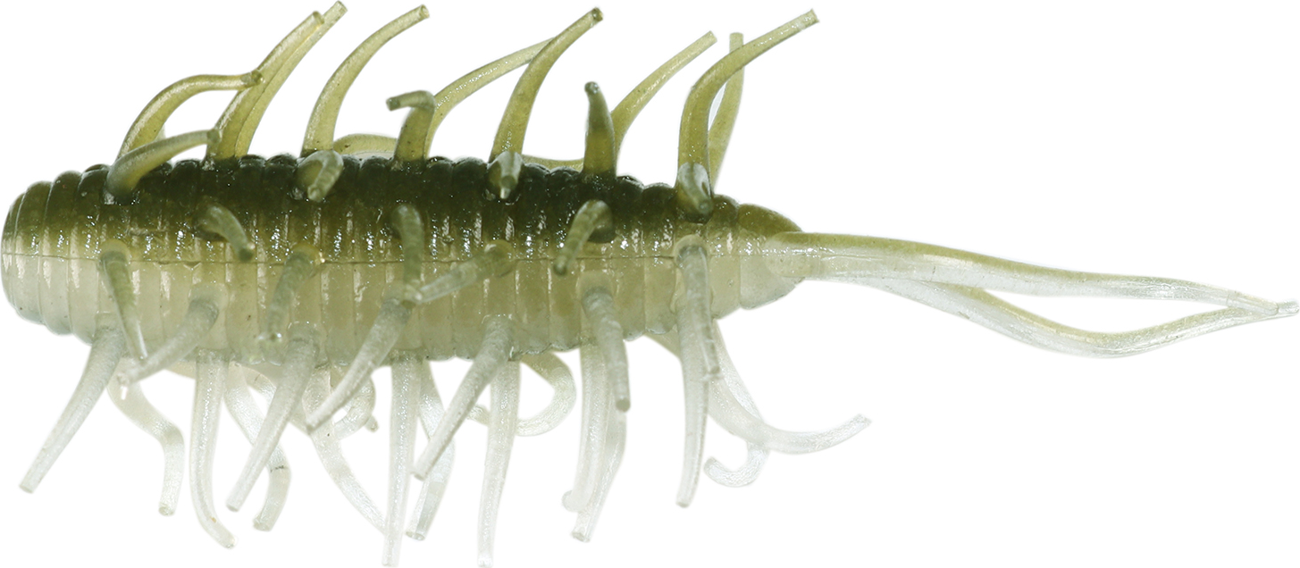 Crevettes Hideup Coike