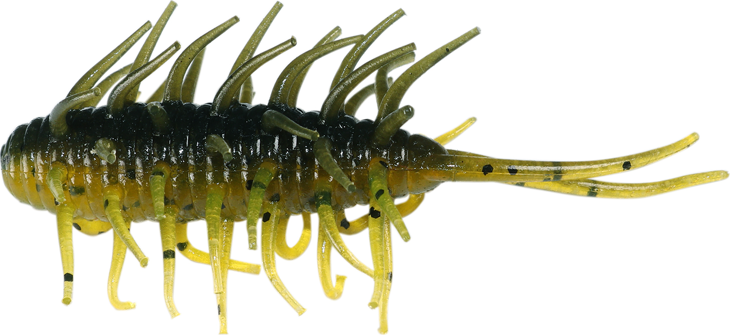 Crevettes Hideup Coike