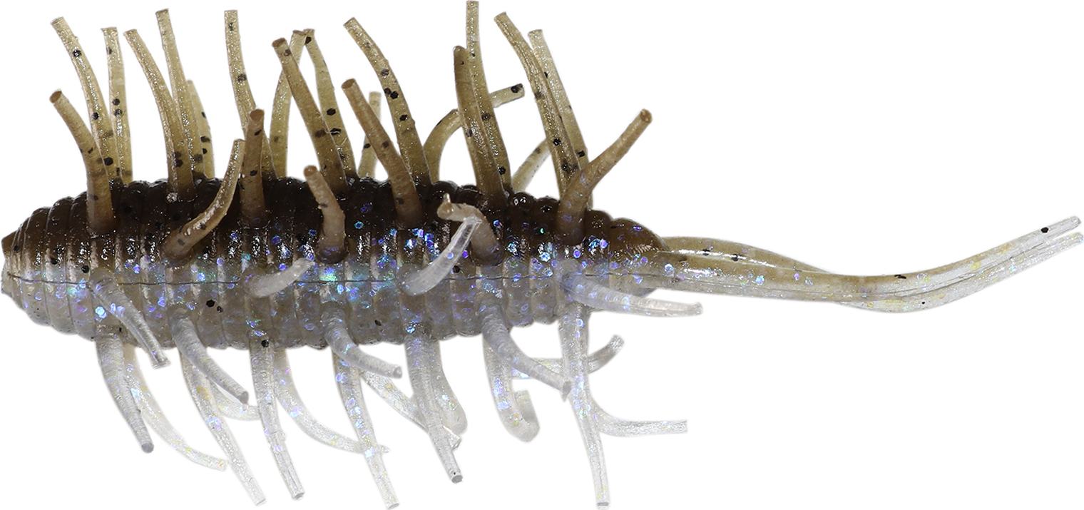 Crevettes Hideup Coike