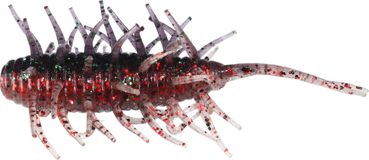 Crevettes Hideup Coike