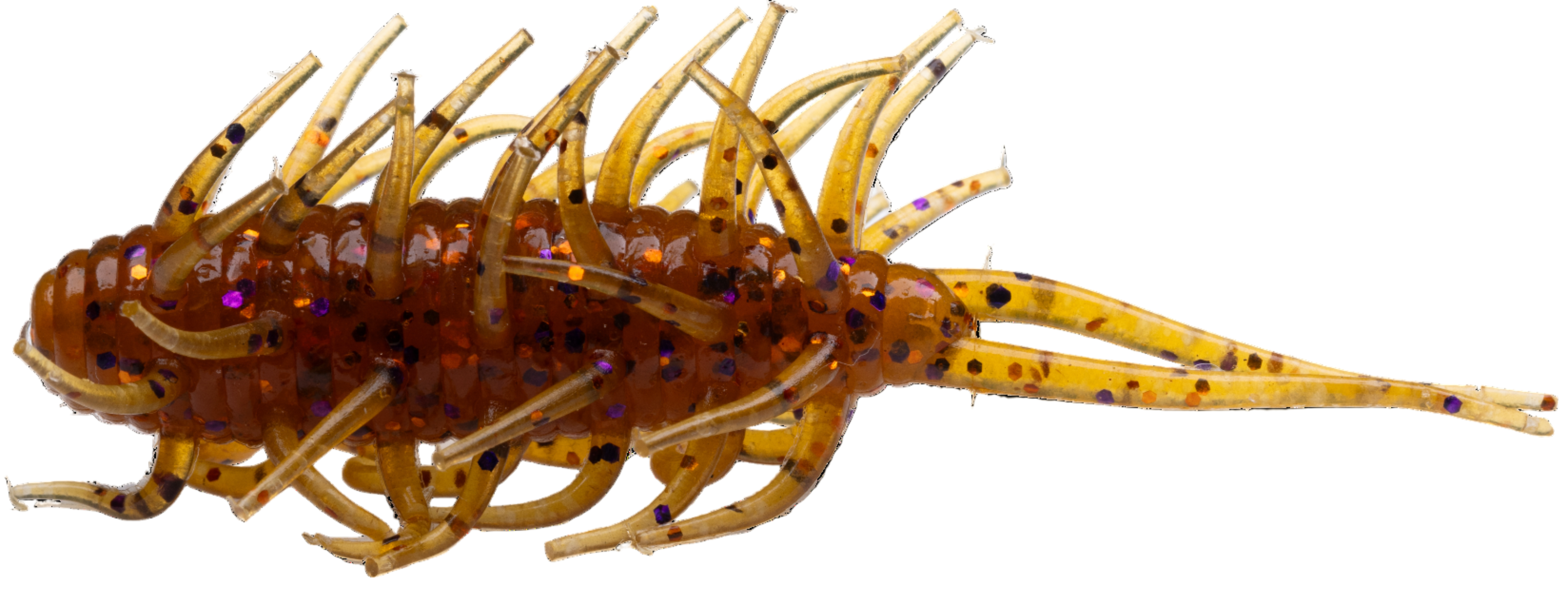 Crevettes Hideup Coike