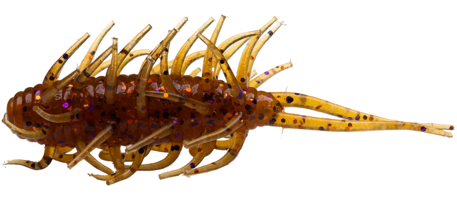 Mini crevettes Hideup Coike