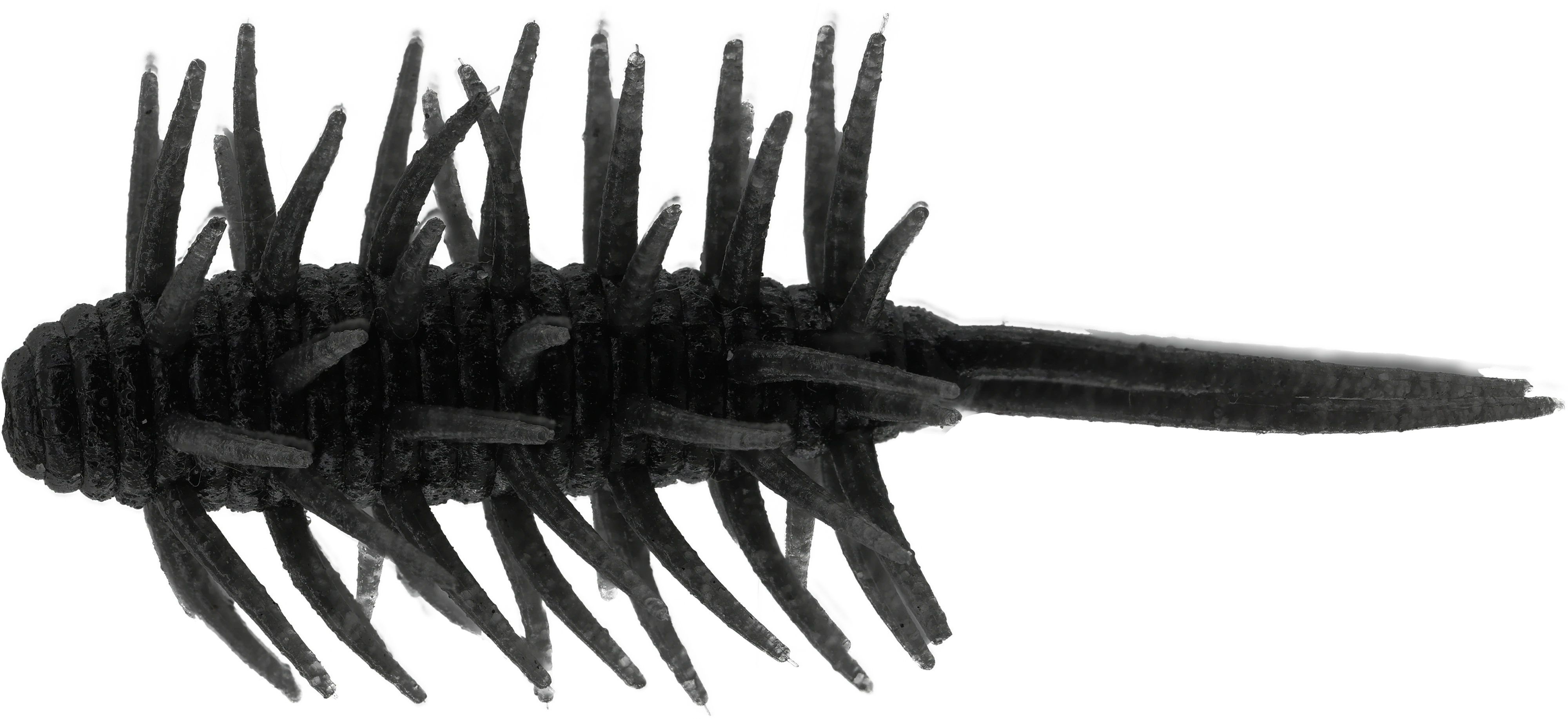 Hideup Coike Shrimp Medium
