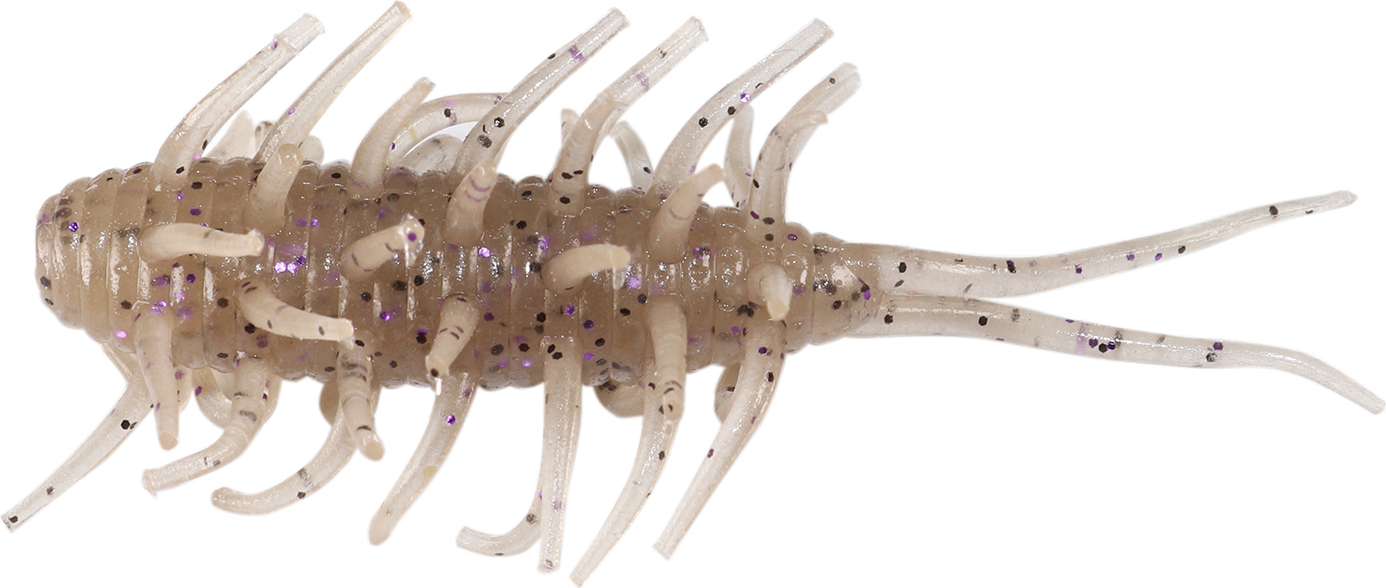 Crevettes Hideup Coike