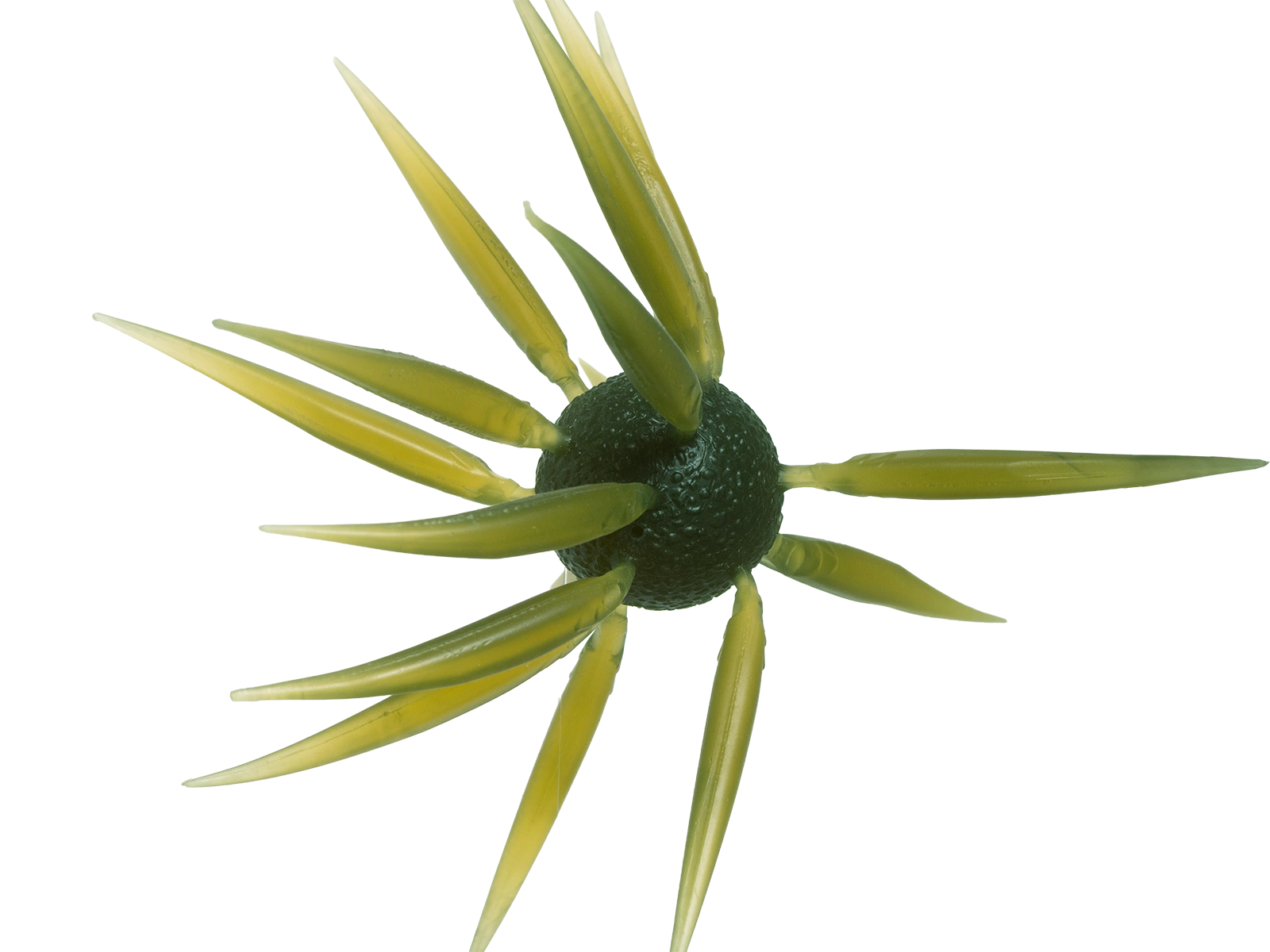 Hideup Coike Fish L Elastomer