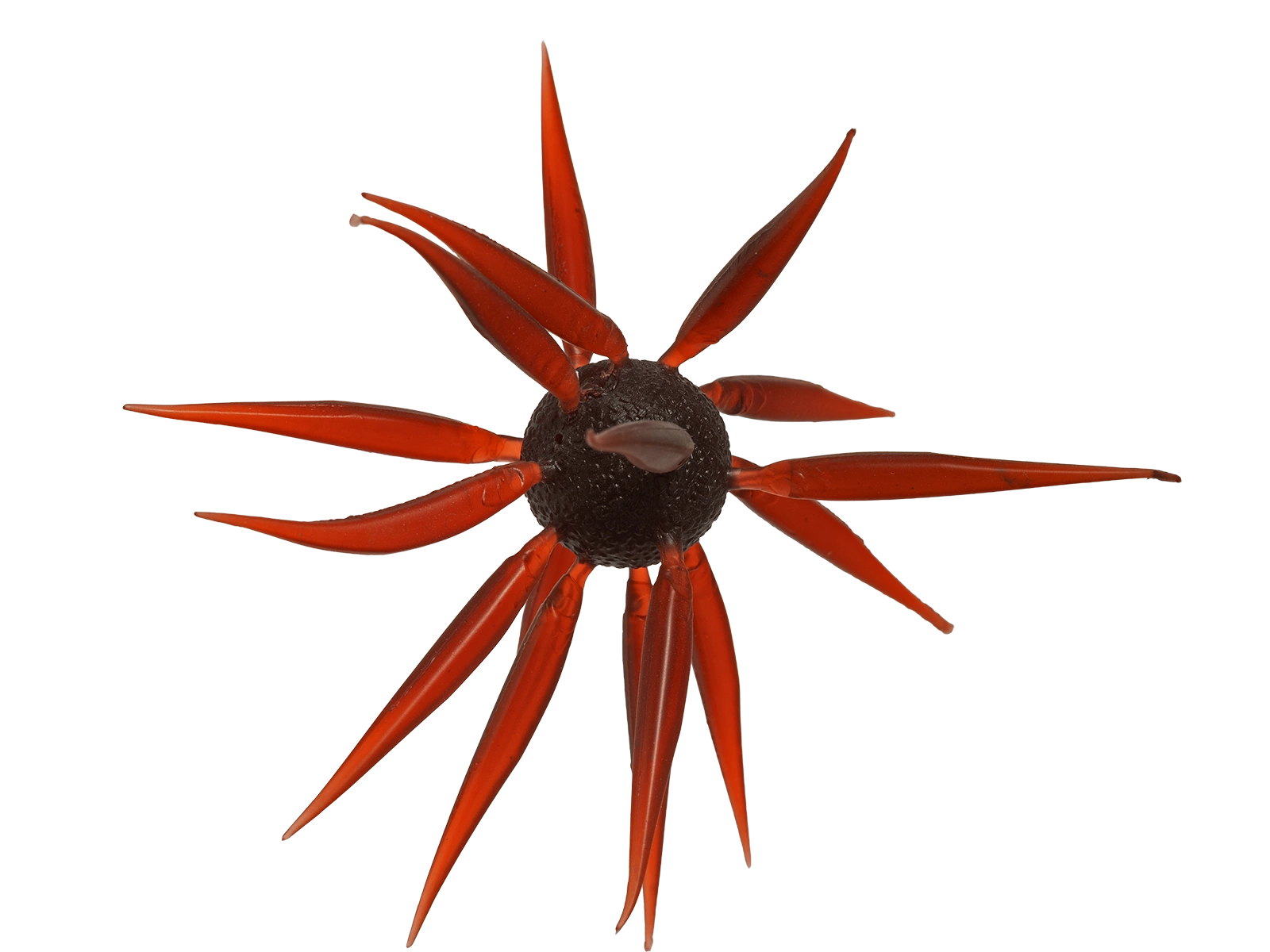 Hideup Coike Fish L Elastomer