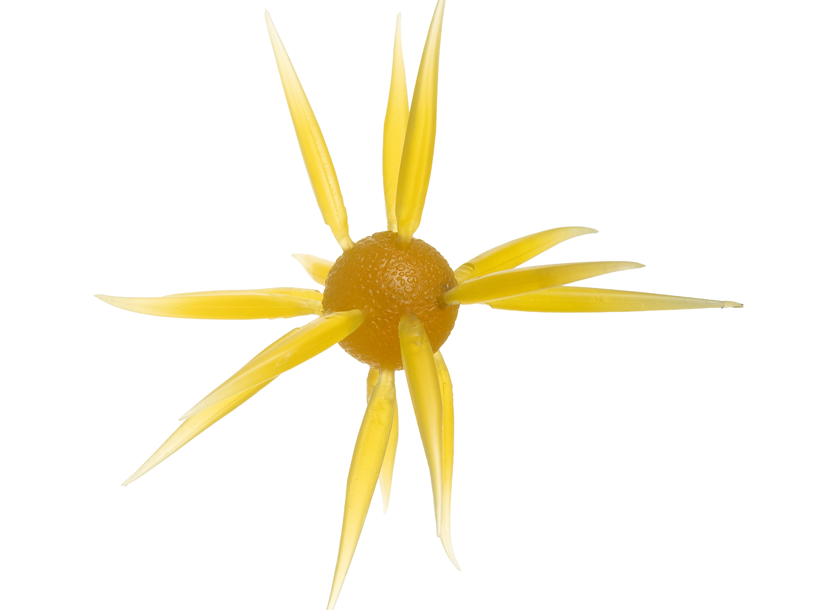 Hideup Coike Fish L Elastomer