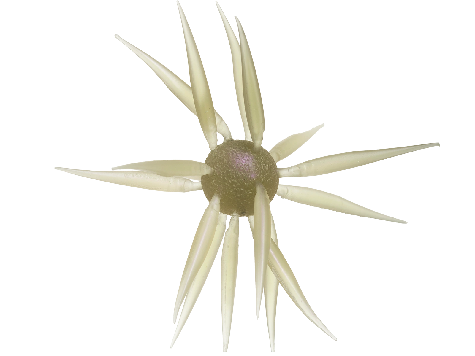 Hideup Coike Fish L Elastomer