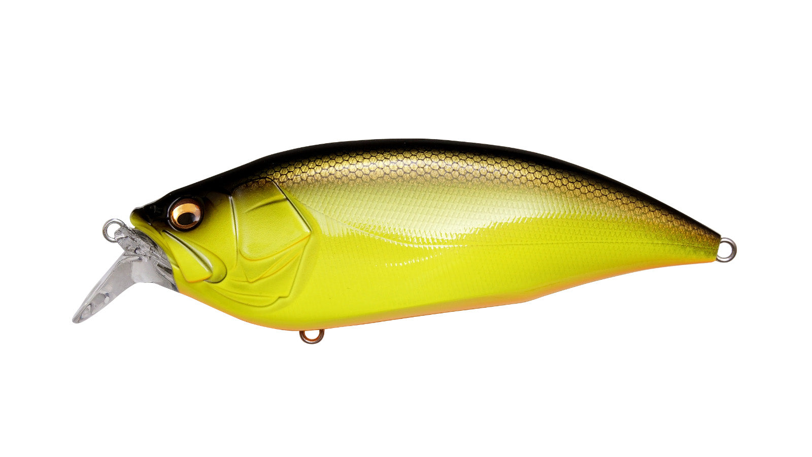 Megabass Big-M 2.0