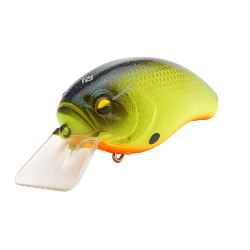 Neon Back Chart - 003
