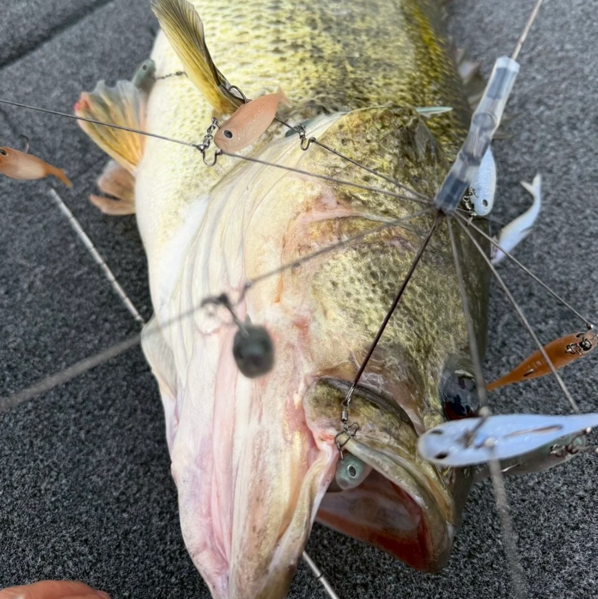 Geecrack Stealth Cast