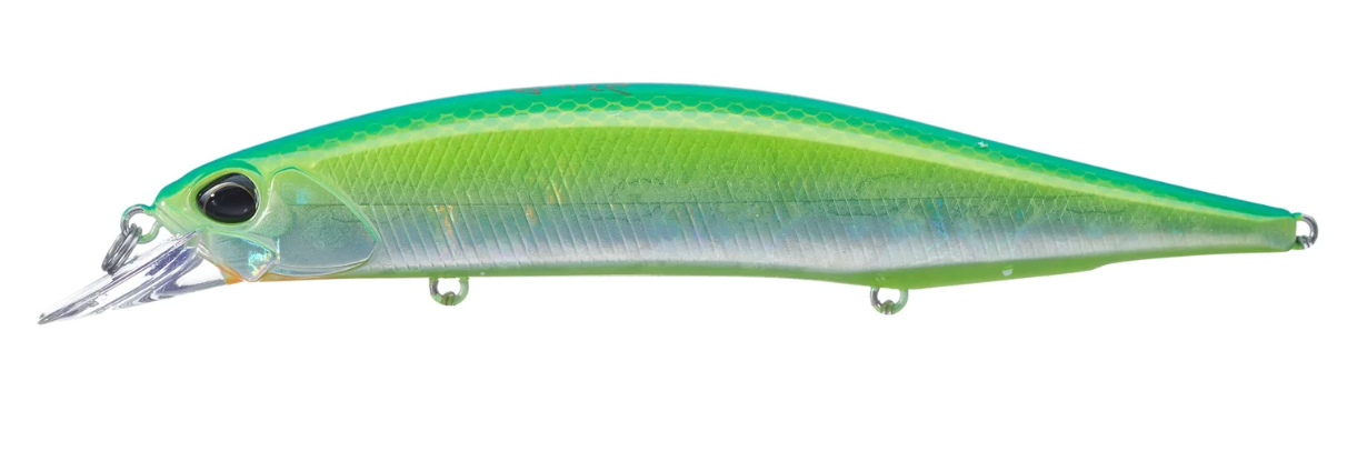 Citrus Shiner