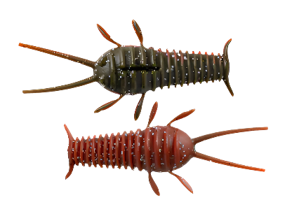 Finesse des Grands Lacs Ned Bug