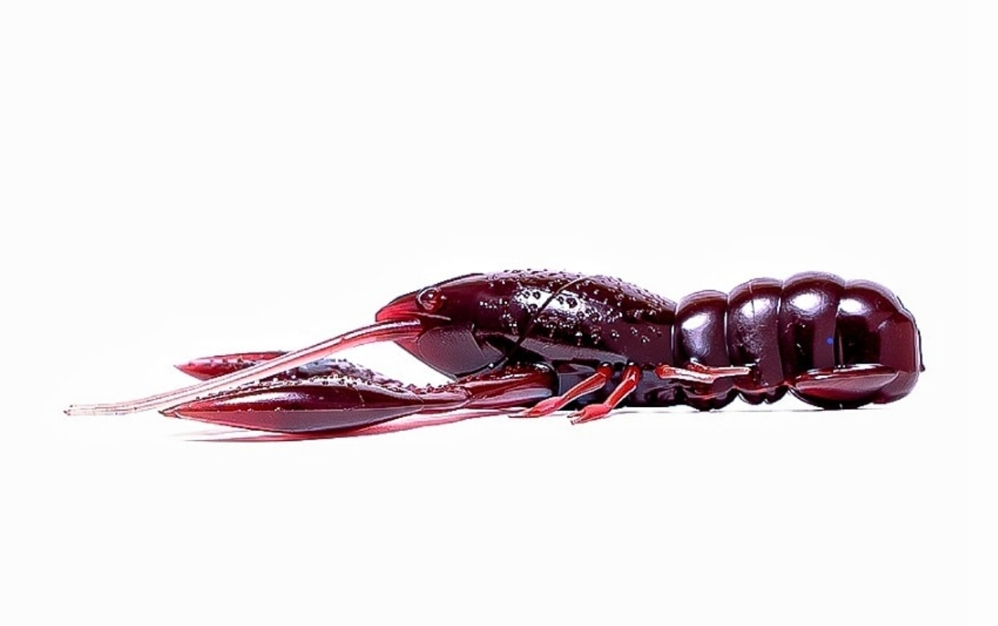 Nikko Craw