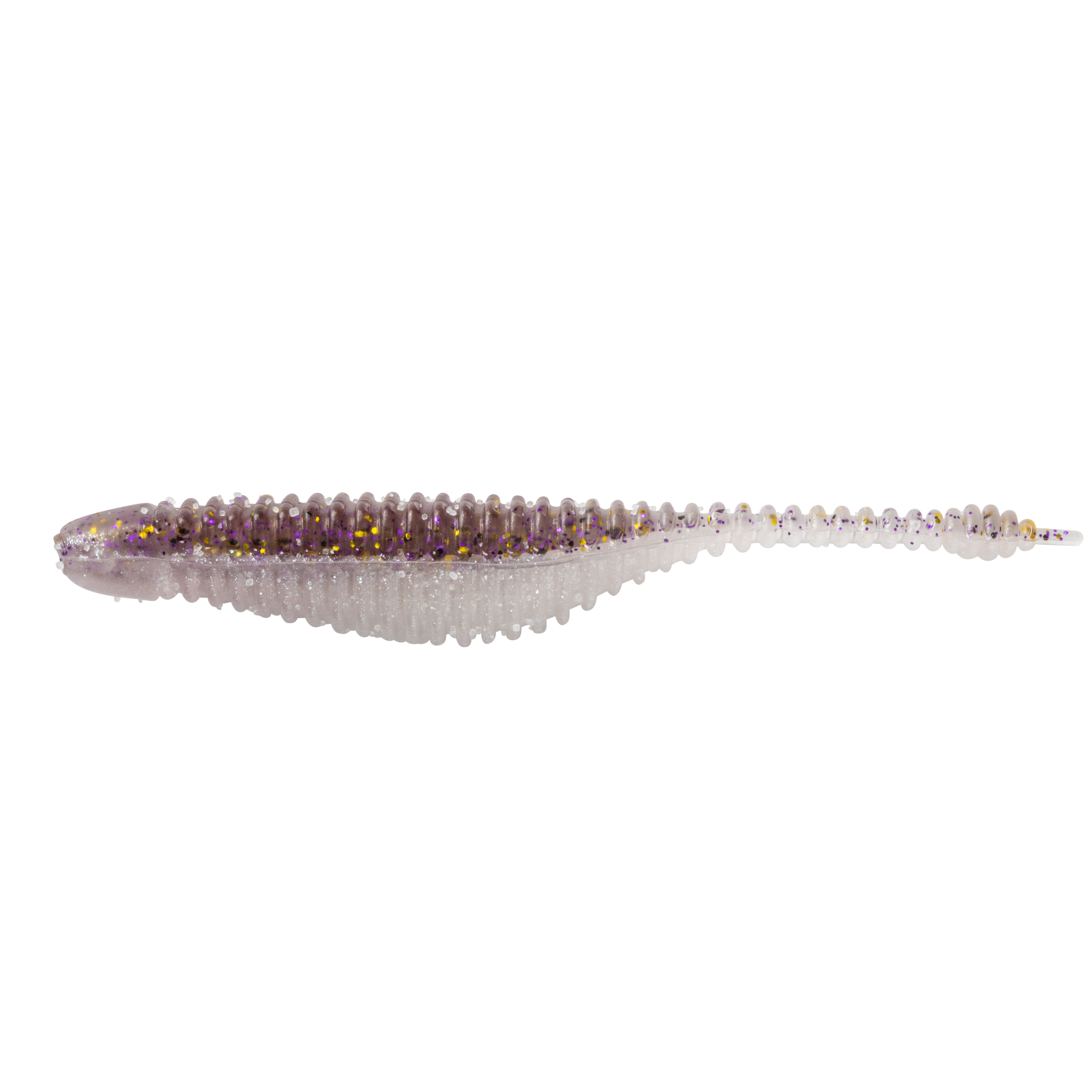 Gizzard Shad (NEW)