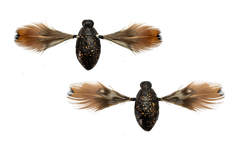 Leurre flottant Jackall Need Cicada 35 mm 3,7 grammes Cicada (0852 Leurre flottant Jackall Need Cicada 35 mm 3,7 grammes Cicada (0852