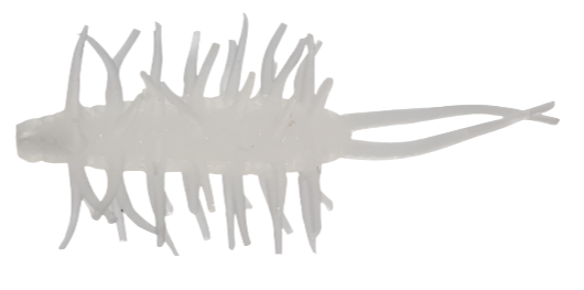 Crevettes Hideup Coike