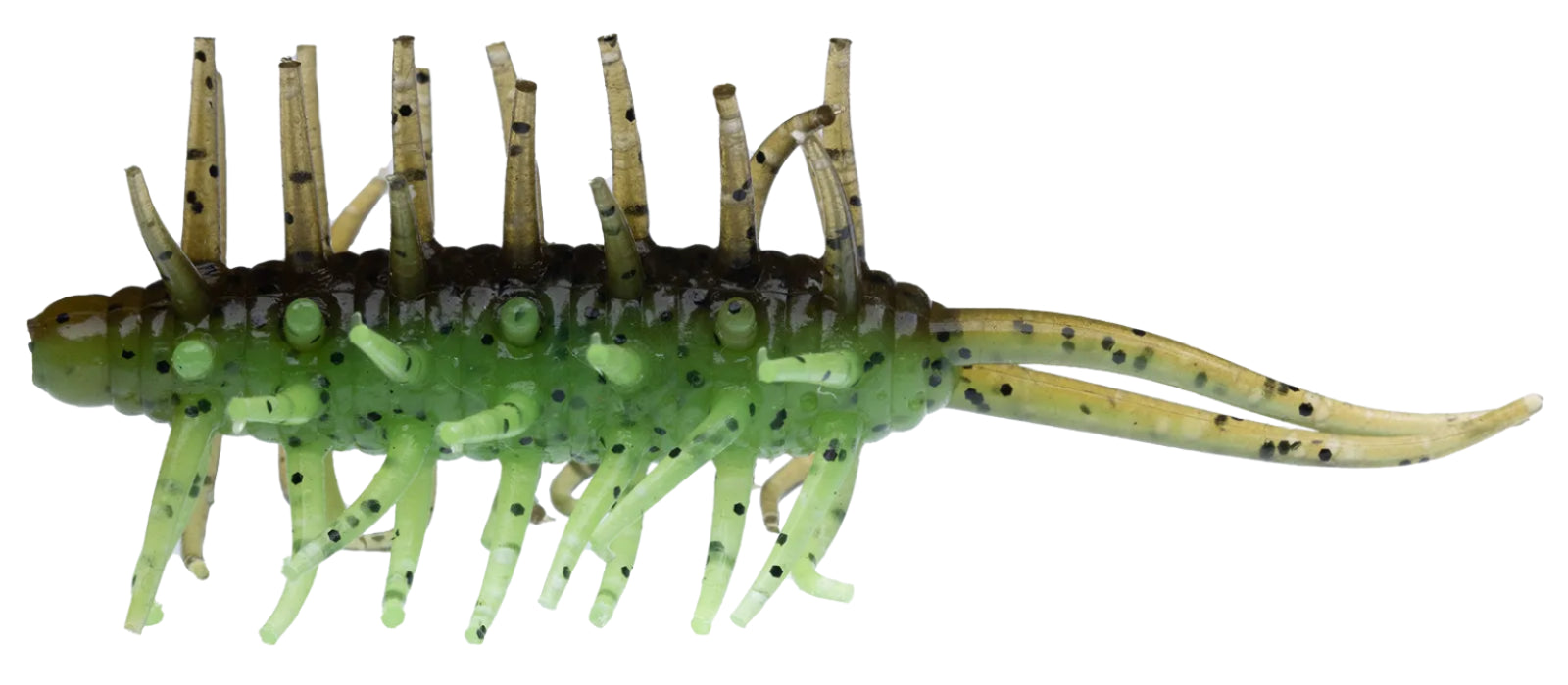 Crevettes Hideup Coike