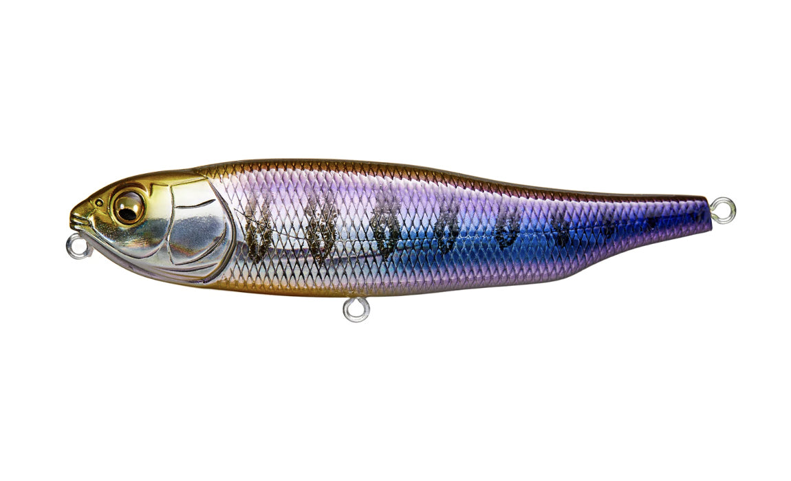 Chien géant Megabass-X