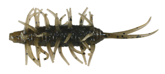 Crevettes Hideup Coike