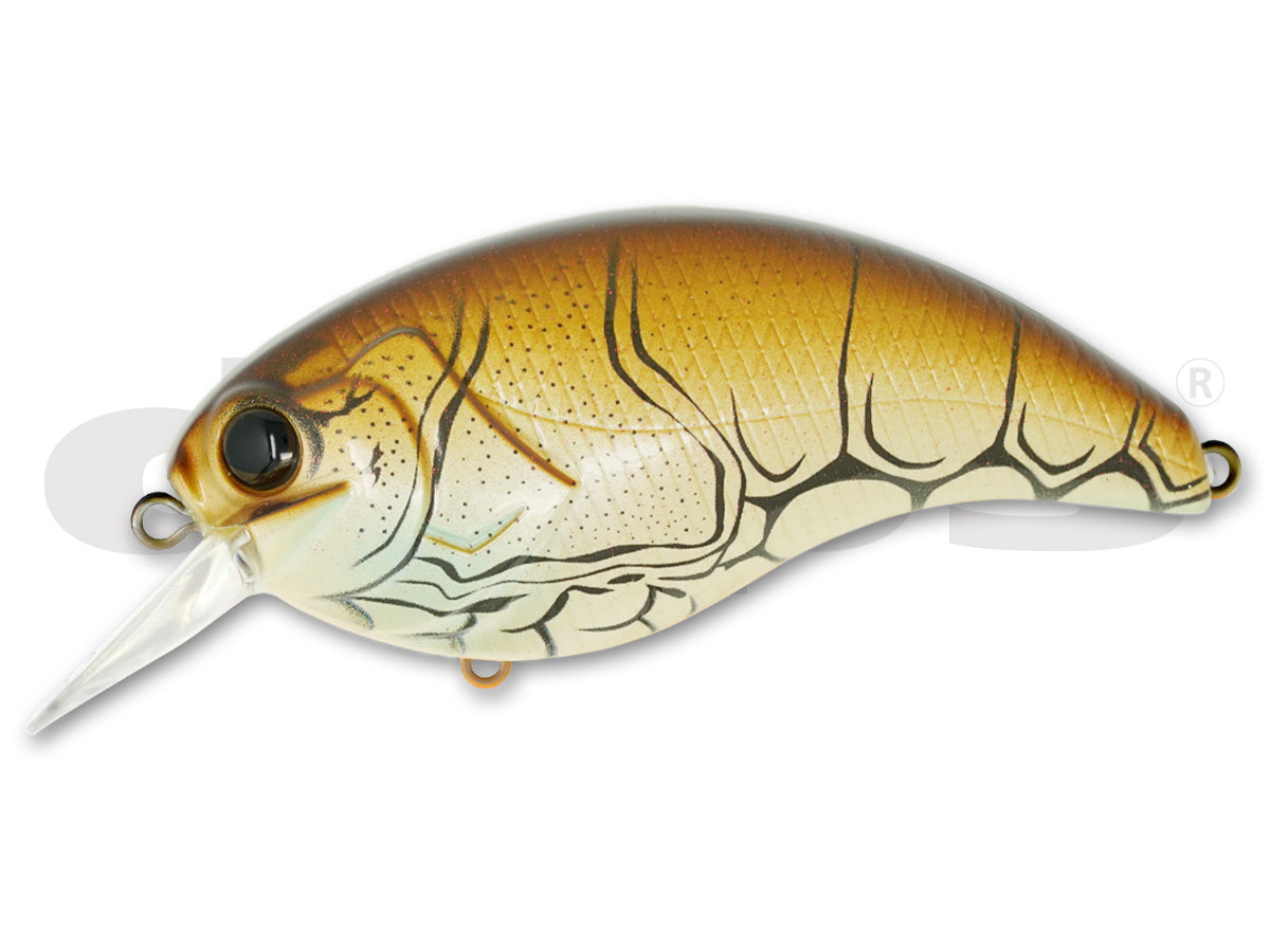 Deps Evoke 4.0