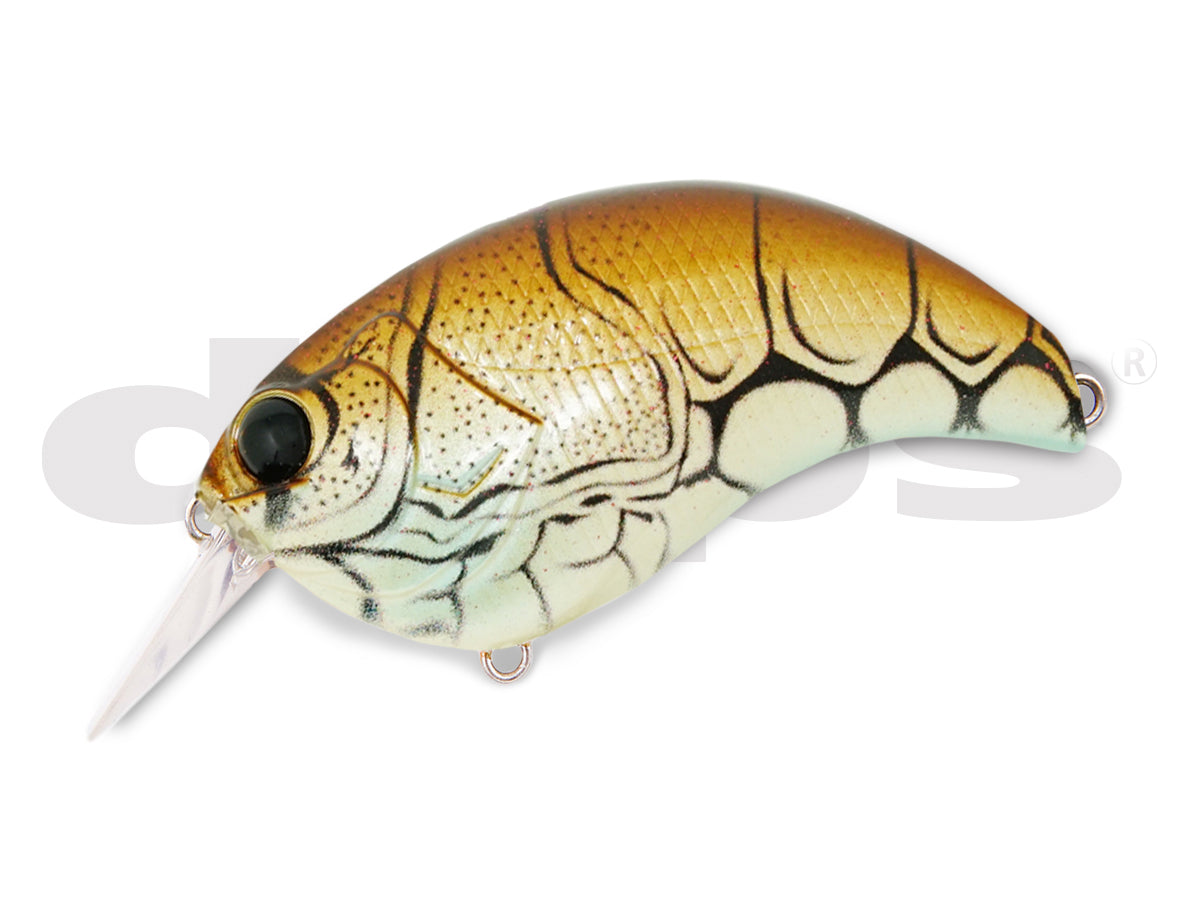 Deps Evoke 2.0