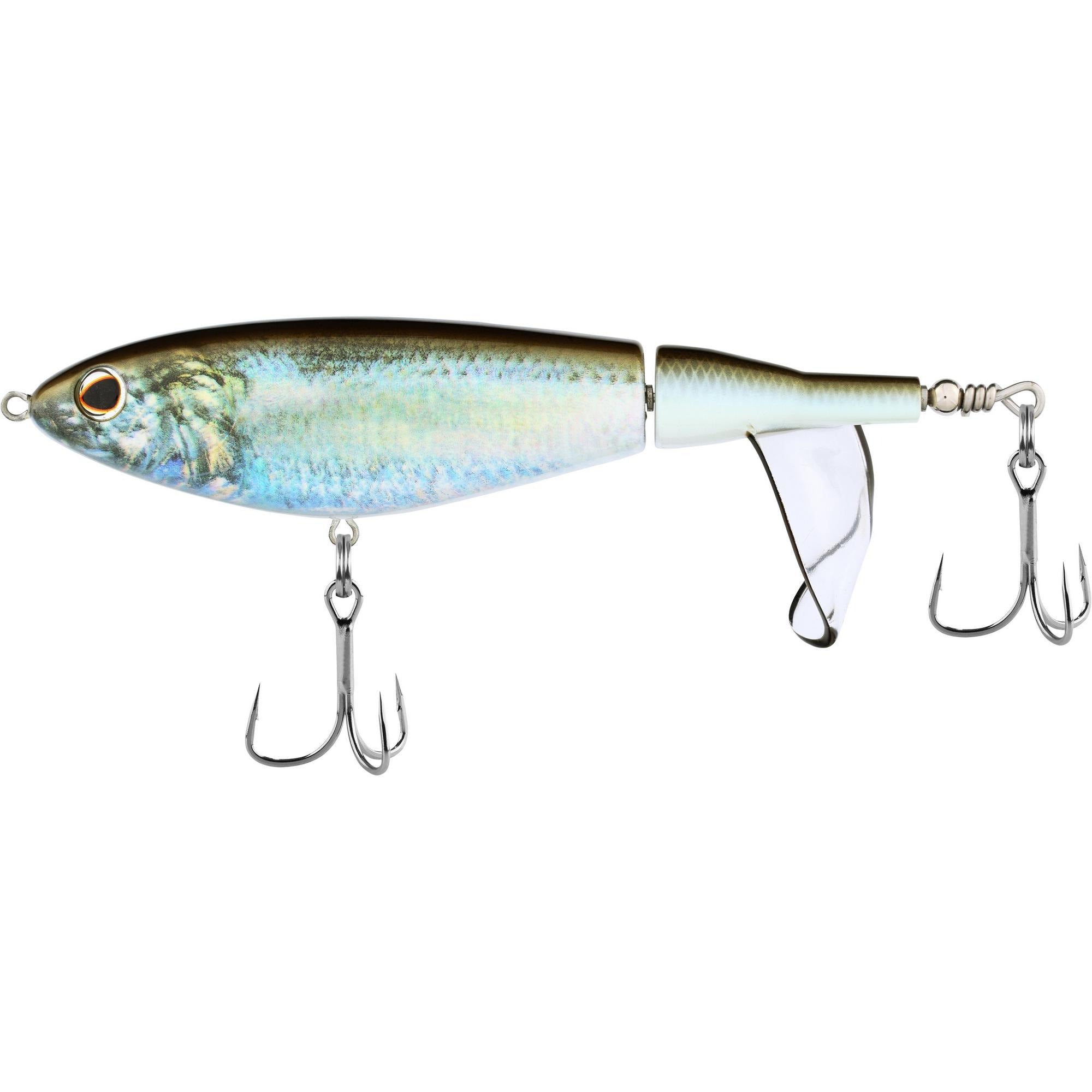 HD Blueback Herring