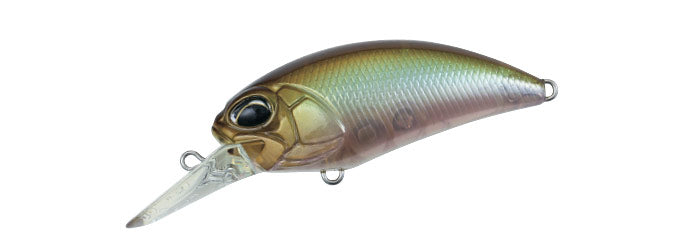 Ghost Minnow