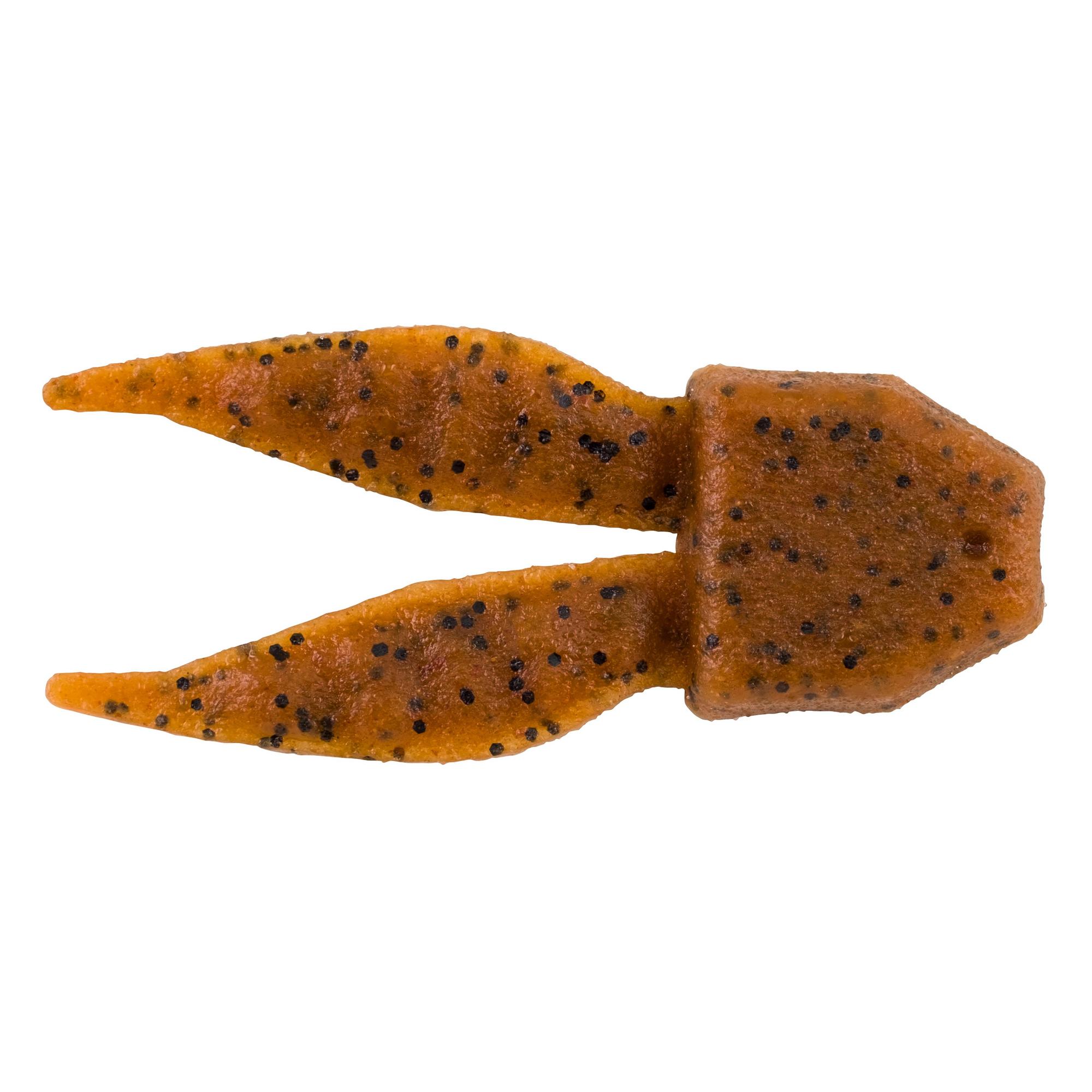 Pumpkin Seed