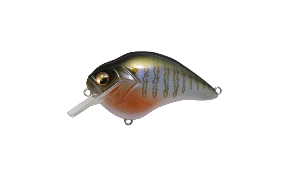 Secret Gill