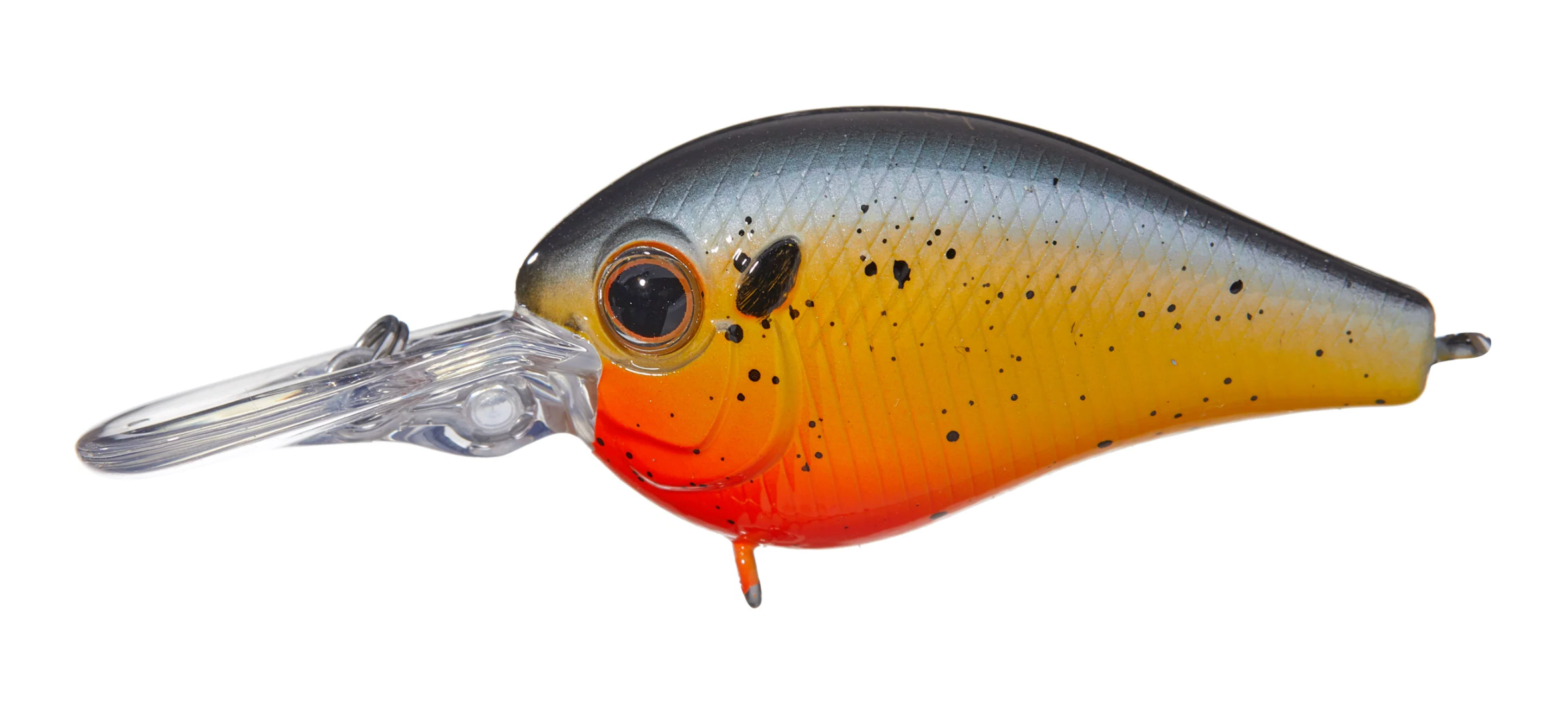 Bleeding Sunfish