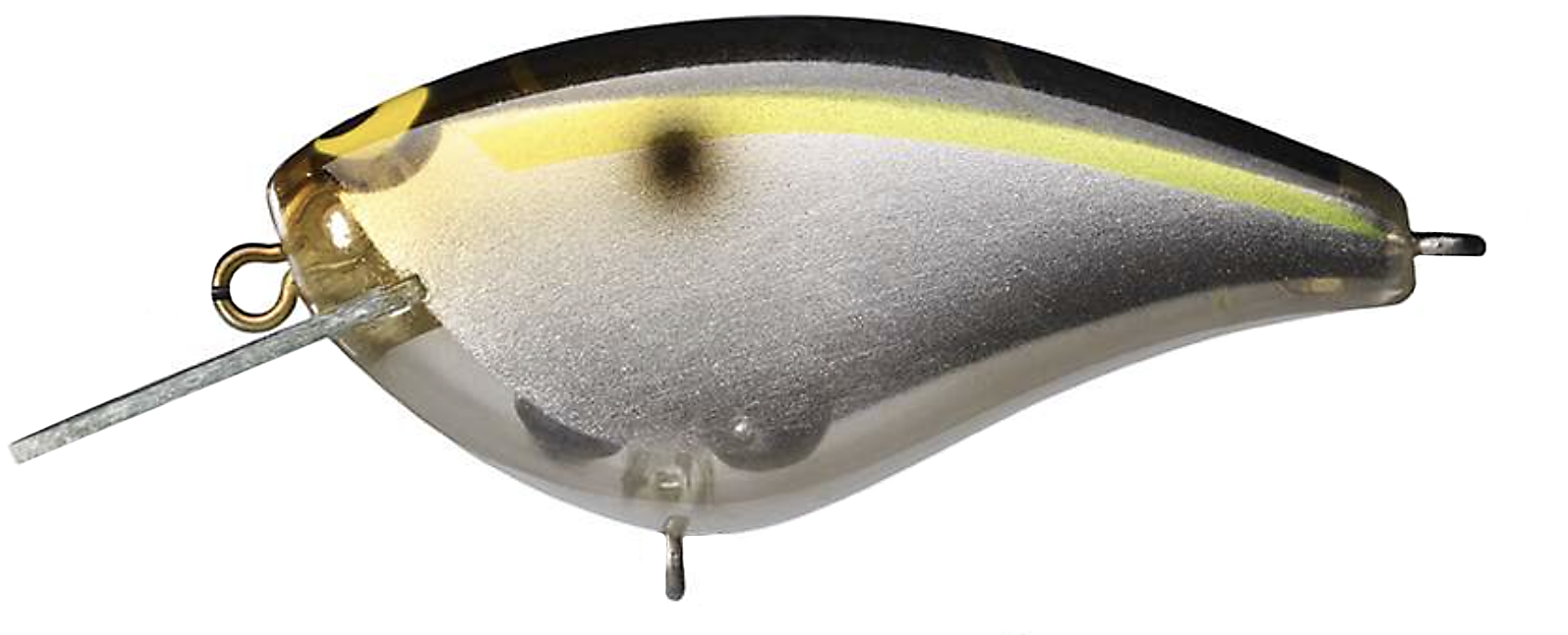 SG Threadfin Shad