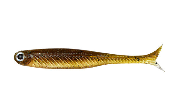 Green Pumpkin Fish - #DC060