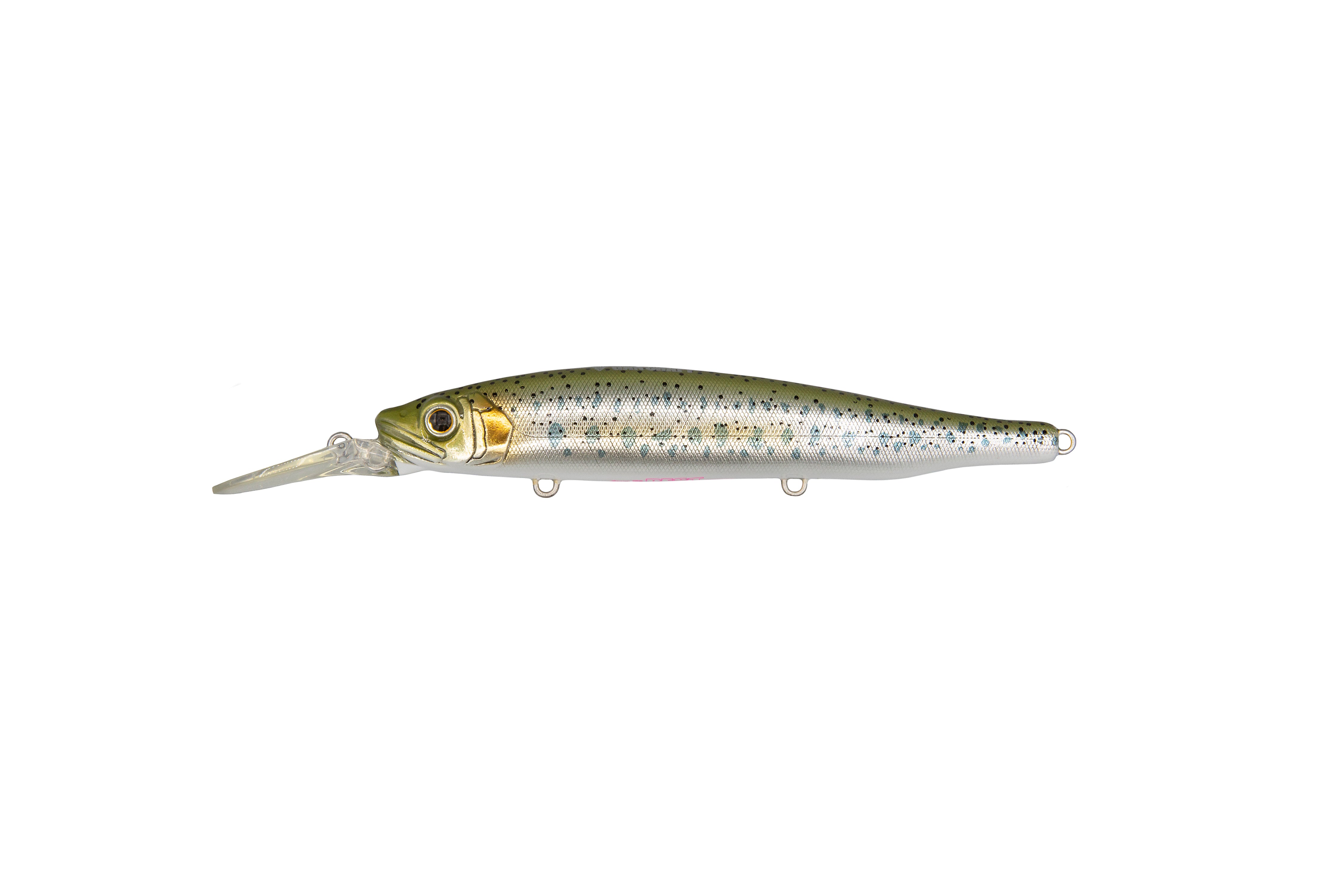 Baby Trout