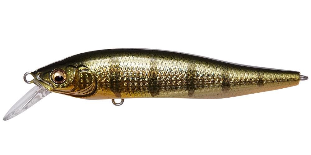 GG Baby Perch