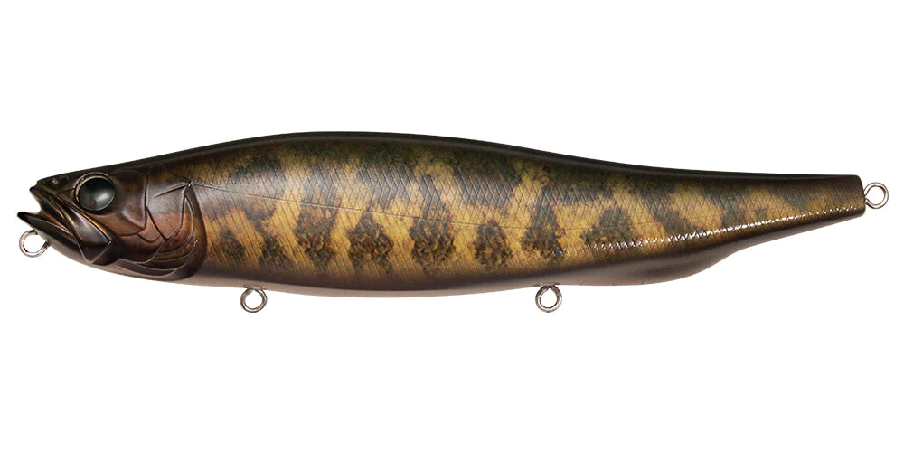 Megabass MEGADOG-X✩ SP-C Megabass Megadog-X