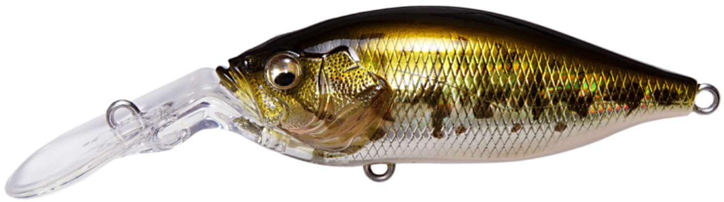 GG Bass