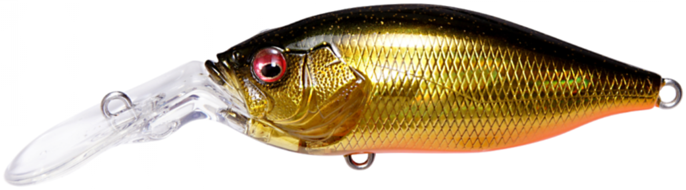 GG Megabass Kinkuro
